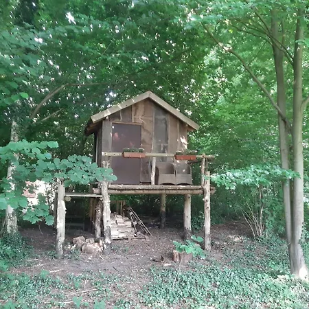 Baumhausnaechte