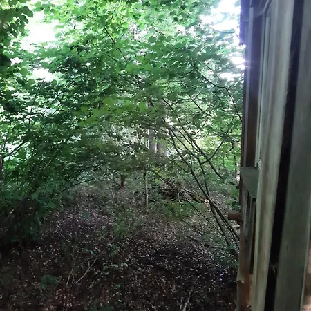 אוהל מפואר Baumhausnaechte