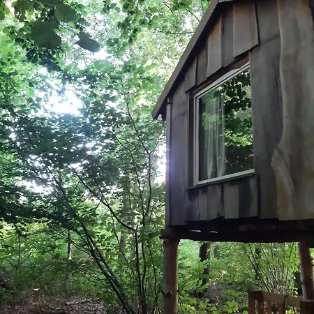 خيمة فخمة Baumhausnaechte *