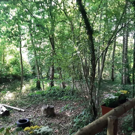 Baumhausnaechte * Ladbergen