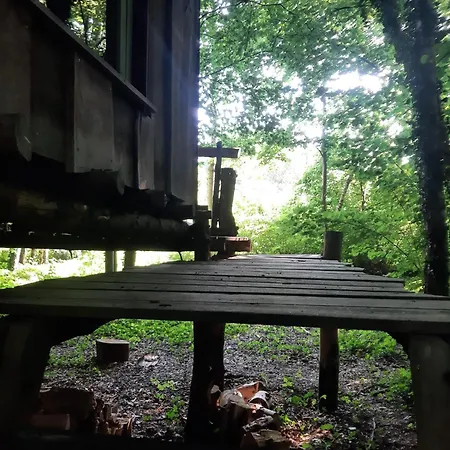 אוהל מפואר Baumhausnaechte