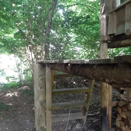 אוהל מפואר Baumhausnaechte Ladbergen