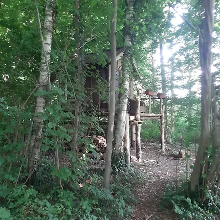 Baumhausnaechte Ladbergen