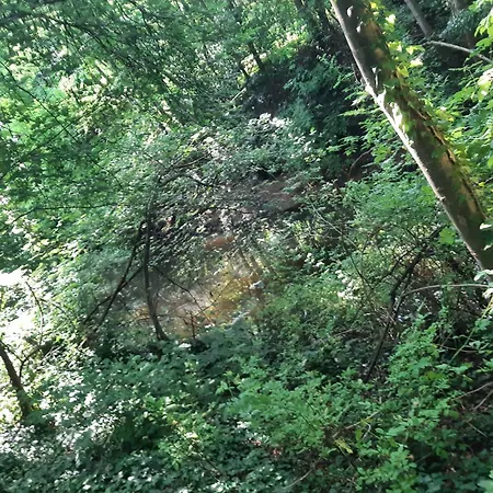 Glamping Baumhausnaechte