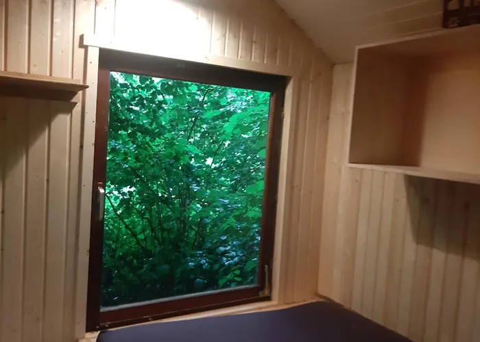 Baumhausnaechte Ladbergen