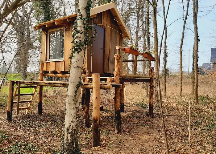 Baumhausnaechte Campo de lujo