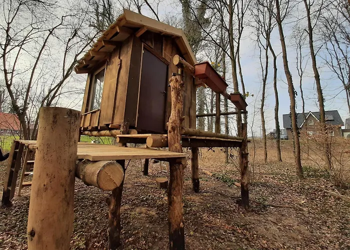 Baumhausnaechte Glamping