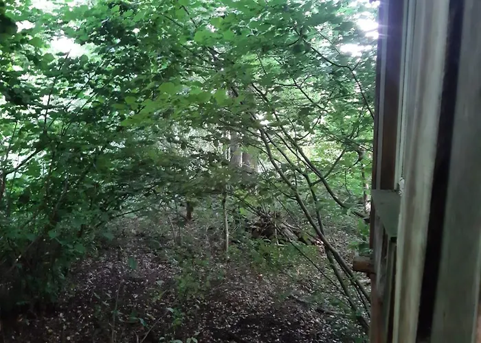 Lyxtält Baumhausnaechte