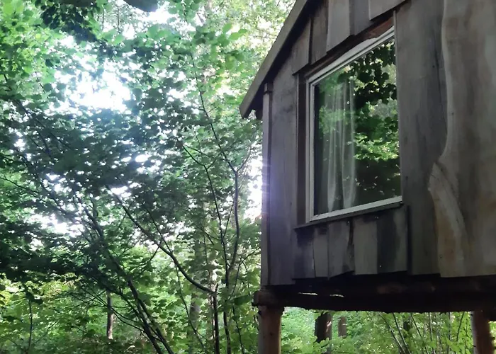 Campo de lujo Baumhausnaechte *