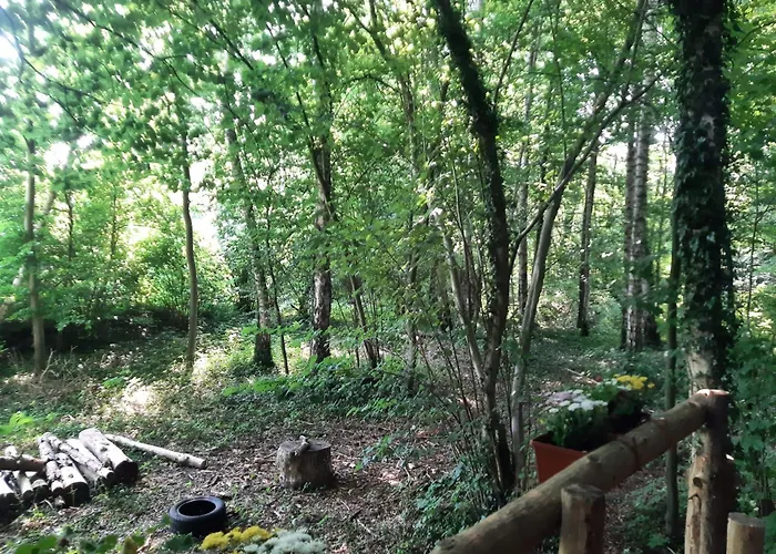 Baumhausnaechte * Ladbergen