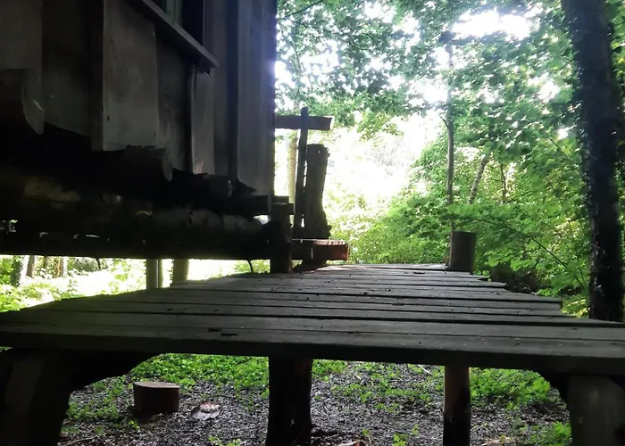 Glamping Baumhausnaechte