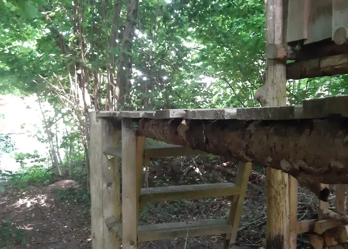 Glamping Baumhausnaechte Ladbergen