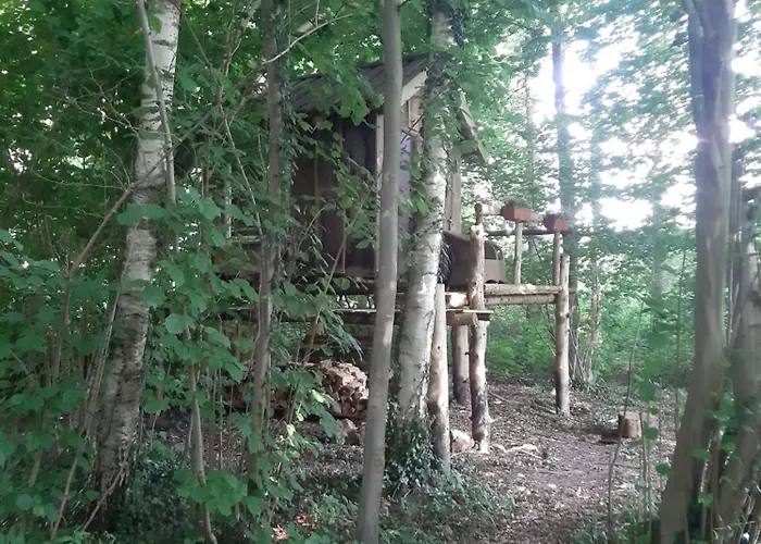 Baumhausnaechte Ladbergen