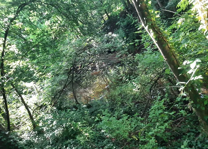 Campo de lujo Baumhausnaechte